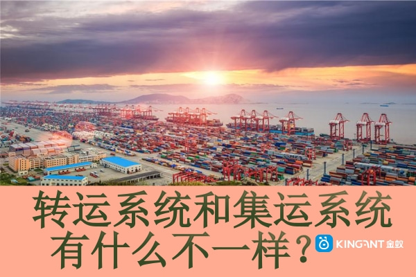 轉(zhuǎn)運(yùn)系統(tǒng)和集運(yùn)系統(tǒng)有什么不一樣？