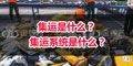 集運是什么？ 集運系統(tǒng)是什么？