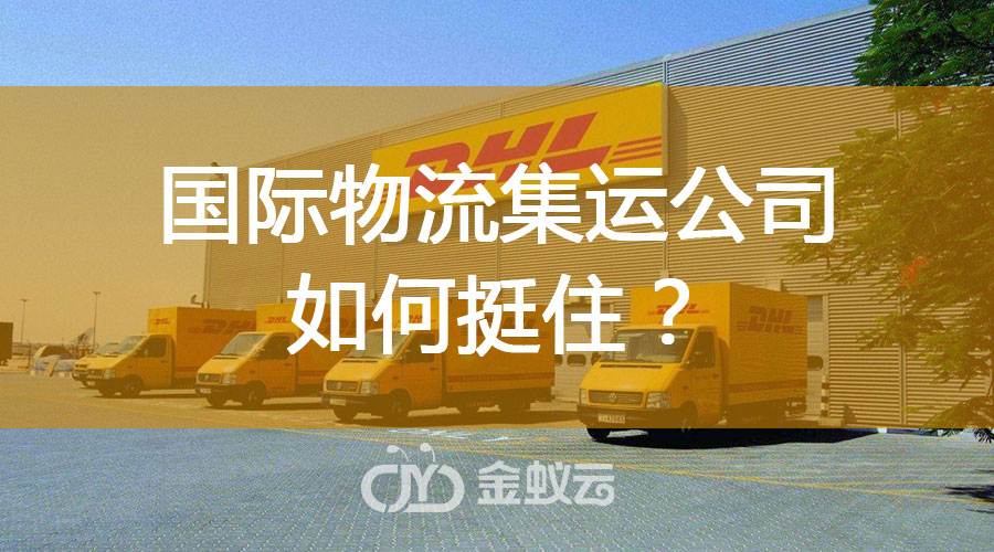 國(guó)際物流集運(yùn)公司如何挺住？