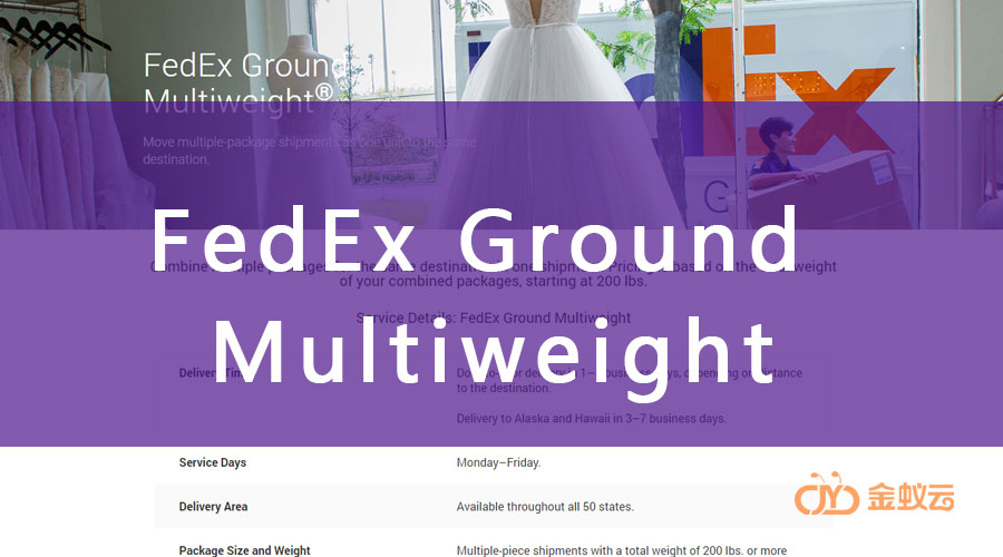 FedEx Multiweight 是什么？