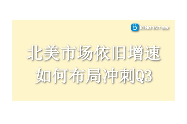 跨境電商：北美市場(chǎng)依舊增速，如何布局沖刺Q3
