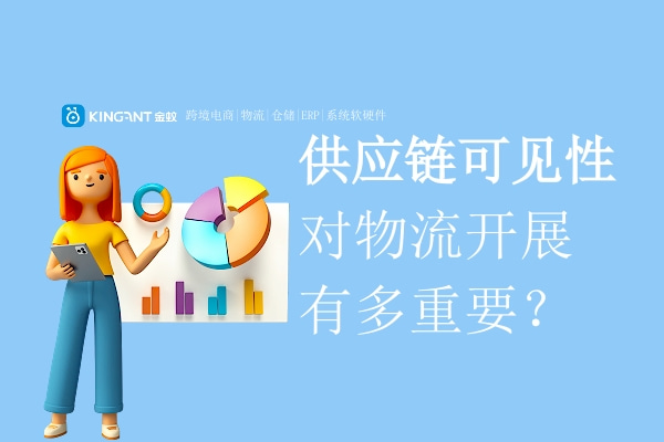 國(guó)際物流系統(tǒng)|集運(yùn)系統(tǒng)：供應(yīng)鏈可見性對(duì)物流開展有多重要？