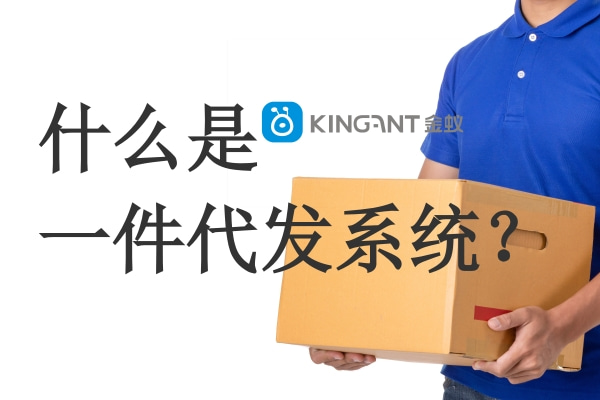 什么是一件代發(fā)系統(tǒng)？