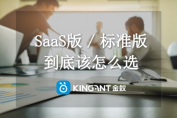 跨境系統(tǒng)有預(yù)算，SaaS版（云版）和標準版我該選哪個？